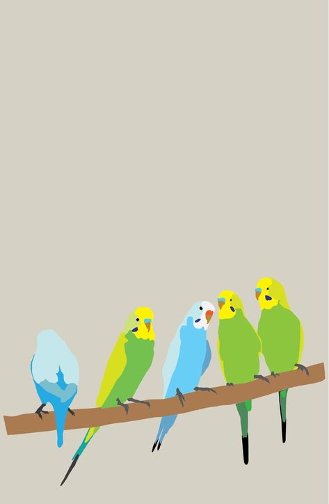 Budgie Tattoo Simple, Budgie Drawing Easy, Budgie Wallpaper, Parakeet Wallpaper, Cute Budgie Wallpaper, Budgie Art, Budgie Illustration, Budgies Bird Aesthetic, Green Budgie