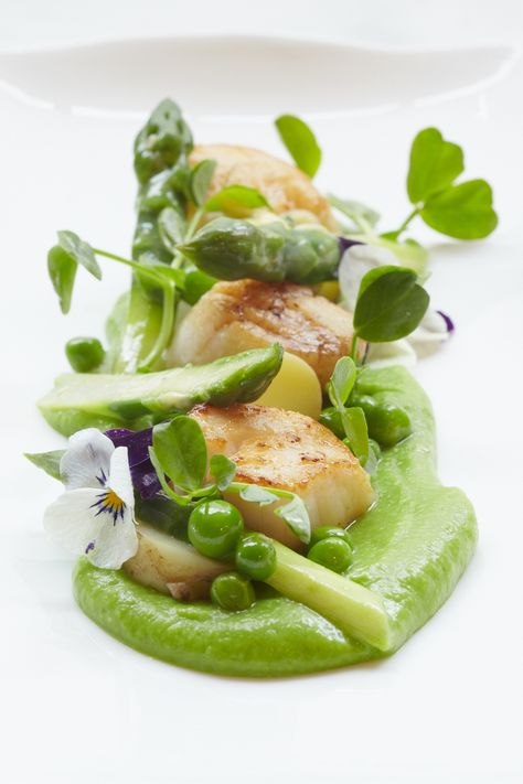 Pea Puree, Spring Recipe, Isle Of Mull, Wine Dinner, Scallop Recipes, Fine Dining Recipes, Wild Garlic, Molecular Gastronomy, Sea Food