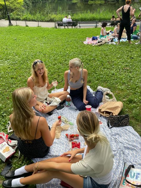 Summer In The City Aesthetic, Park Picnic Aesthetic, Nyc Picnic, Picnic In Central Park, Central Park Aesthetic, Central Park Picnic, Bday Picnic, Summer In Nyc, Park Aesthetic