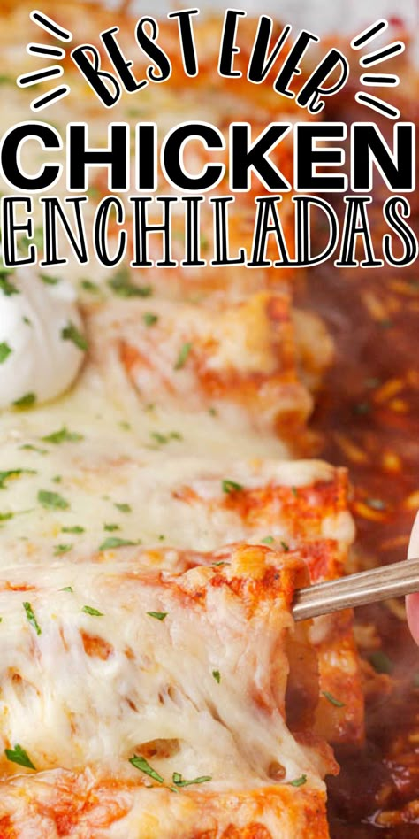 Chicken Enchilada Casserole With Cream Cheese, Enchalidas Recipes Chicken Enchiladas, Best Enchiladas Chicken, Baked Chicken Enchiladas Easy, Chicken Enchiladas Easy Red Sauce Cream Cheese, Chicken Enchiladas With Queso Sauce, Baked Enchiladas Chicken, Chicken Enchiladas Cream Cheese, Chicken Enchiladas With Rotisserie