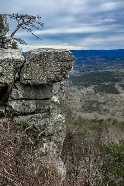 2,700+ Cheaha State Park Stock Photos, Pictures & Royalty-Free Images - iStock | Alabama, Talladega national forest, Mount cheaha Cheaha State Park Alabama, Talladega National Forest, Civilian Conservation Corps, Lookout Tower, Public Park, U.s. States, Swimming Holes, Scenic Views, National Forest