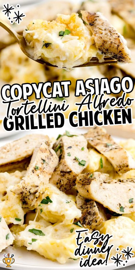 Asiago Tortellini Alfredo with Grilled Chicken Olive Garden Asiago Chicken Tortellini, Olive Garden Chicken Tortellini Alfredo, Asiago Tortellini Alfredo With Grilled Chicken, Asiago Tortellini Chicken Alfredo, Asiago Tortellini, Chicken Tortellini Alfredo, Chicken Alfredo Tortellini, Asiago Chicken, Cheesy Tortellini