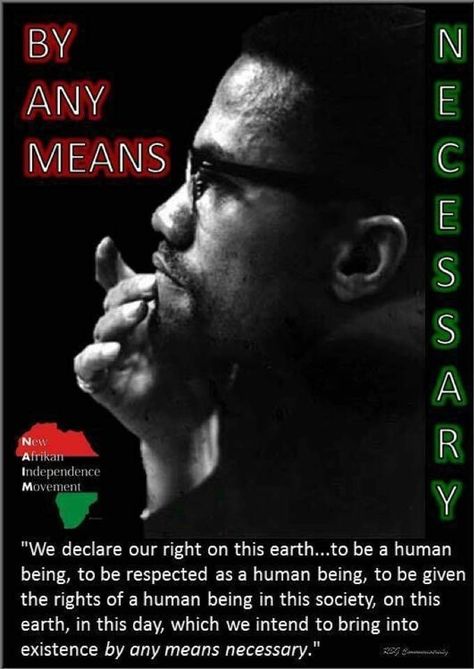 The Price Of Freedom, Malcolm X Quotes, Any Means Necessary, Black Empowerment, Black Fact, Black Consciousness, Black Quotes, By Any Means Necessary, History Quotes