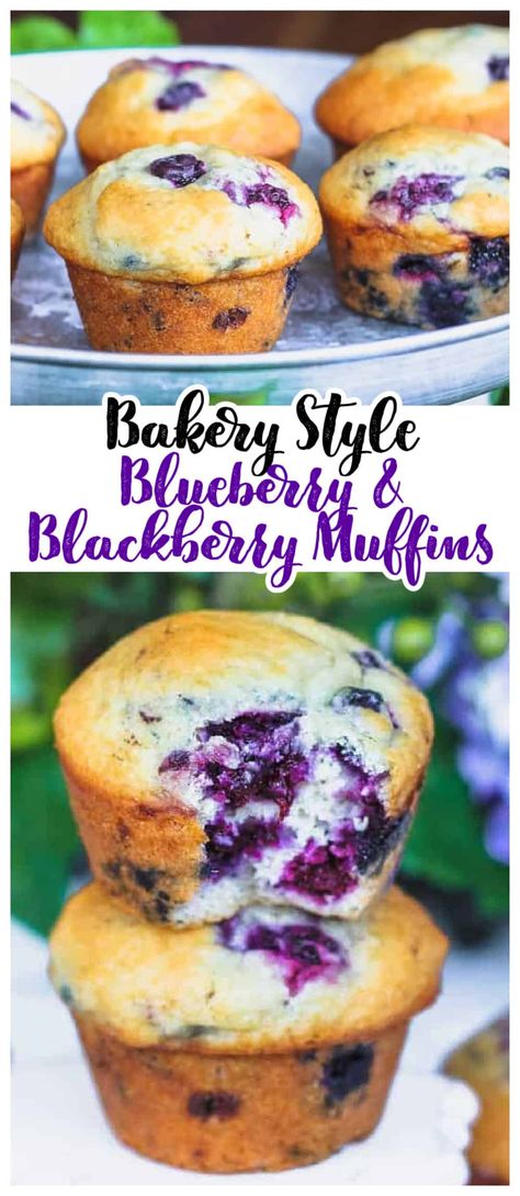 Blackberry Muffins Healthy, Blackberry Muffins, Homemade Coffee Cake, Bakery Style Blueberry Muffins, Blackberry Muffin, Breakfast Baking, Best Blueberry Muffins, Bakery Style Muffins, Berry Recipes