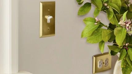 Should You Match Electrical Outlets To The Wall Color? HGTV's Laurie March Weighs In Painting Outlets, Painting A Wall, Bathroom Outlet, Electrical Outlet Covers, Outlet Cover, Wall Outlets, Electrical Outlets, Outlet Covers, Switch Plates