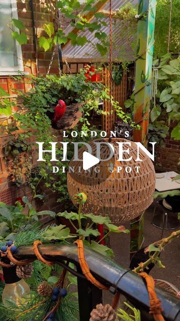 RUCHI🍝 on Instagram: "London’s hidden garden restaurant 🪻  AD-INVITE | @paladarlondon is a gorgeous Latin-American restaurant in Elephant and Castle and has a gorgeous garden at the back! I fell in love with the interiors here and I definitely recommend going here. We had the weekday set menu:  - Tapioca and cheese croquettes  - Crispy pork belly - Shredded chicken  - Cochinita pibil  - Seared prawns  - Roasted aubergine  - Purple corn churros   Everything was super tasty here - it tasted fresh and the service was excellent. If you haven’t tried Latin American food, this is a great place to start. The fries here and the rice are amazing - all the starters are great too! I also loved all the tacos and I would definitely come back here if it was a catch-up or date night. The weekday set me Cheese Croquettes, Roasted Aubergine, Latin American Restaurant, Purple Corn, Restaurant Ad, Latin American Food, Elegant Restaurants, Elephant And Castle, Crispy Pork Belly