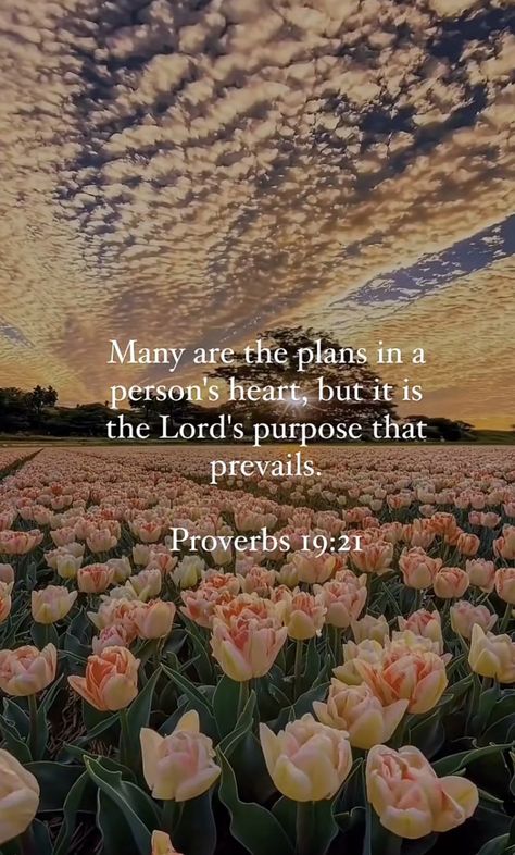 Bible Verse Background, Bible Quotes Wallpaper, Biblical Verses, Prayer Scriptures, Inspirational Bible Quotes, Bible Verses Quotes Inspirational, Biblical Quotes, Bible Quotes Prayer, Inspirational Bible Verses