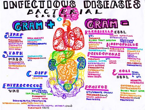 where the art of procrastination meets the study of medicine Bacterial Diseases, Medicine Notes, Nursing Mnemonics, Pharmacy School, Medical Student Study, Medical Laboratory Science, Nursing School Survival, Medical Photos, Nursing School Studying