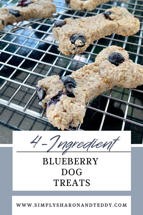 Oats Dog Treats, Blueberry Dog Treat Recipe, Blueberry Dog Treats, Blueberry Oats, Dog Treat Recipe, Dog Treats Homemade Easy, Blueberry Oat, Dog Biscuit Recipes, Easy Dog Treats