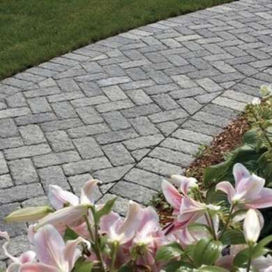 Paver Walkways To Front Door, Pavers Design, Paver Designs, Cement Patio, Walkway Landscaping, Brick Walkway, Paver Walkway, Front Walkway, Walkway Ideas