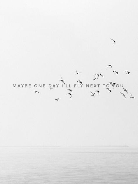 One day I'll fly next to you. Coldplay Tattoo, Brother Tattoos, What If You Fly, Maybe One Day, Coldplay, Be Yourself Quotes, Once Upon A Time, One Day, Tattoo Ideas