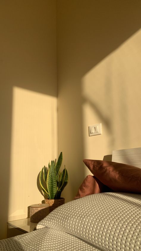 Morning Light Bedroom, Bed Plants, Autumn Creative, Lighting Bed, Bedroom Photography, Natural Girl, Art Major, Aesthetic Light, Light Rays