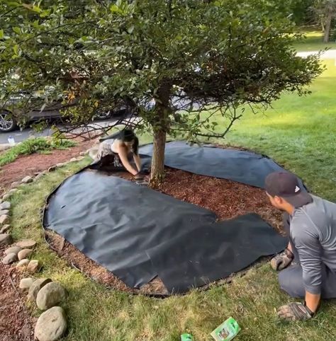 Marble Chips Landscaping Ideas, Replace Mulch With Rock, Mulch Replacement Ideas, Black Granite Landscaping Rock, Black Mulch And Rock Landscaping, Rock And Mulch Landscaping Front Yards, Rubber Mulch Landscaping Ideas, Mulch Glue For Rocks, Black Mulch Landscaping Front Yards