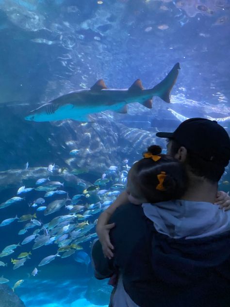 Aquarium / Toddler Picture / Father & Daughter / Faceless Father And Daughter Aesthetic Faceless, Dad With Daughter Aesthetic, Dad Walking Out Of Hospital With Baby, Fatherhood Aesthetic Faceless, Dad And Baby Daughter Aesthetic, Father Aesthetic Daughter, Single Father Aesthetic, Dad Daughter Aesthetic, Mom And Daughter Aesthetic Faceless