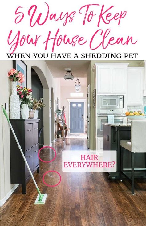 Worried about dog hair everywhere? Don’t let that stop you from adopting a pet. Here are 5 tips for keeping the house clean when you have a shedding dog or cat!   #housecleaning #cleaningtips #clean #petcare Homemade Toilet Cleaner, Keep Your House Clean, Clean Baking Pans, Cleaning Painted Walls, Glass Cooktop, Deep Cleaning Tips, Dog Shedding, Clean Dishwasher, Simple Life Hacks