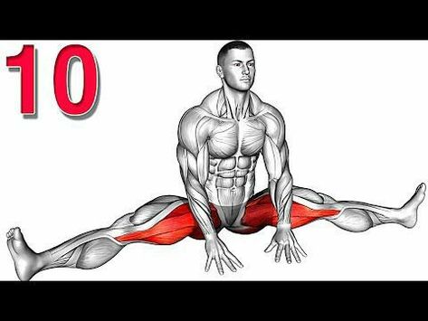 Leg Workout Women, Gym Workout Apps, Bad Knee Workout, Best Leg Workout, Boost Testosterone, All Body Workout, Gym Workouts For Men, Pelvic Floor Exercises, Kegel Exercise