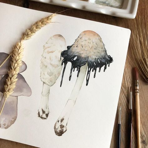 Shaggy Ink Cap, Ink Cap Mushroom, Watercolor Mushroom, Mushroom Art, Watercolour Painting, Nature Art, Art Inspo, Moose Art, Stuffed Mushrooms