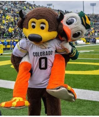 CU Buffs mascot Chip celebrating a Buffs win over the Oregon Ducks... Sko Buffs, Oregon Ducks Football, Colorado Buffaloes, Dream College, Team Mascots, University Of Oregon, Oregon Ducks, College Sports, All Kids