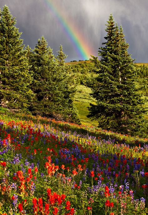 arco iris Golden Key, Vail Colorado, Pretty Stuff, Alam Yang Indah, Nature Aesthetic, Best Photographers, Pretty Places, A Rainbow, Amazing Nature