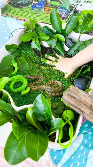 Rainforest Sensory Activities, Rainforest Games, Reptiles Preschool, Water Ritual, Green Tree Python, Tree Python, Soak Chia Seeds, Prewriting Skills, Toddler Themes