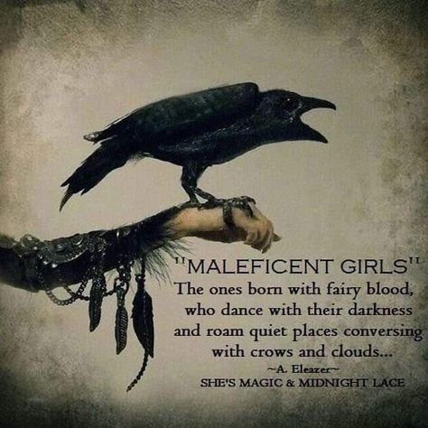 Maleficent Raven Tattoo, Don't Mess With A Witch, Nocturnal Witchcraft, Maleficent Quotes, Gothic Quotes, Witches Book, Witch Quotes, Crows Ravens, Senior Quotes