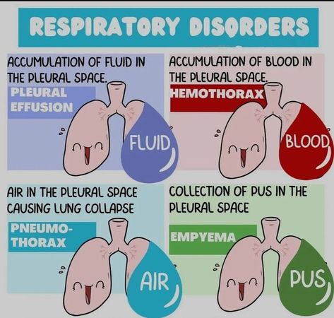 Paramedic Notes, Nurse Hacks, Cardiac Rehab, Physician Associate, Respiratory Disorders, Nurse Notes, Nursing 101, Nursing Cheat, Medical Notes