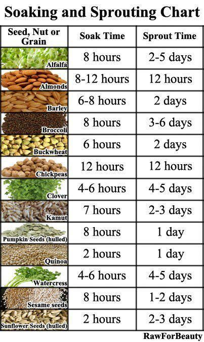 Chart - Activating Nuts Parrot Chop, Plantarea Legumelor, Kebun Herbal, Tanaman Air, Growing Sprouts, Parrot Food, Tanaman Indoor, Micro Greens, Food Chart