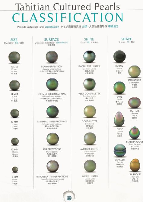 Tahitian Pearls Tahitian Pearls Jewelry, Jewelry Knowledge, Pearl Rings, Fashion Dictionary, Jewelry Education, Tahitian Black Pearls, Pearl Types, Sea Pearls, Rocks And Gems