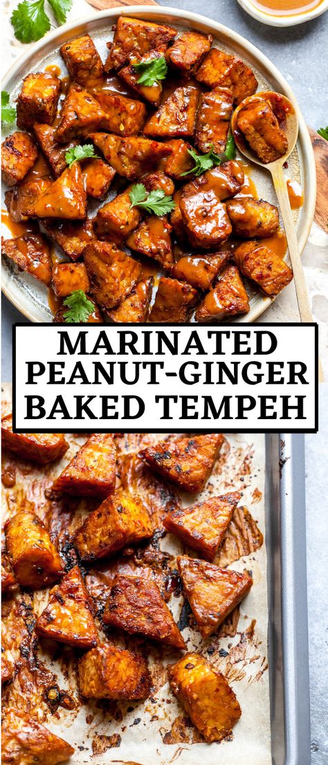 Tempeh Peanut Sauce, Asian Tempeh Recipes, Marinated Tempeh Recipes, Tempeh Meal Prep, Vegan Ginger Recipes, Tempeh Sandwich Recipes, Tempeh Marinade Recipes, Baked Tempeh Recipes, Tempeh Meals