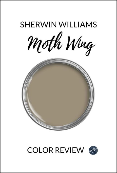 Moths Wing Sherwin Williams, Moth Wing Paint Color, Moth Wing Sherwin Williams Bedroom, Mothwing Sherwin Williams, Sherwin Williams Antler Velvet, Sw Moth Wing, Sherwin Williams Eclipse, Sherwin Williams Moth Wing, Moth Wing Sherwin Williams