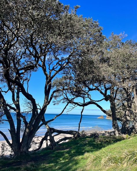 Orokawa Bay and Waihi Beach, Bay of Plenty www. greatnorthtours.co.nz Click the link in bio Bay Of Plenty, Click The Link, Link In Bio, On Instagram, Quick Saves, Instagram