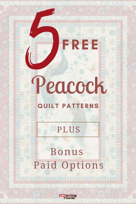 Quilt In A Day Patterns Free, Free Quilt Blocks, Quilt In A Day Patterns, Free Quilt Patterns Printables, Peacock Quilt, Free Quilting Patterns, Quilt In A Day, Beginner Quilt Patterns, Free Quilt Patterns