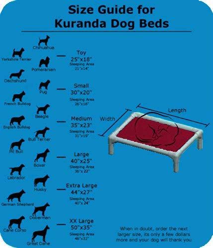 Pvc Dog Bed, Pvc Frame, Dog Cots, Elevated Dog Bed, Pvc Projects, Pet Hotel, Diy Dog Bed, Dog Bed Furniture, Dog Bed Large