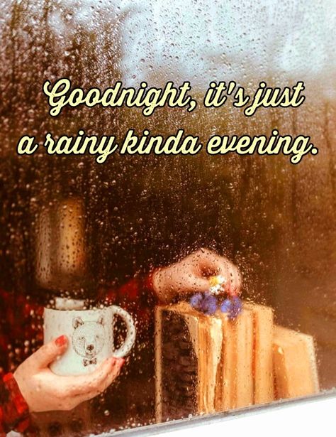 Rainy Evening, Evening Quotes, Rainy Night, Good Night Sweet Dreams, Good Evening, Rainy Days, Good Night, Good Morning