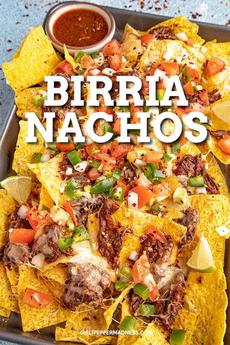 These birria nachos are easy to make with homemade Mexican birria de res, lots of melty cheese, and pico de gallo, perfect for leftover birria. Birria Nachos Recipe, Birria Enchilada Casserole, Leftover Birria Meat Recipes, Leftover Birria Ideas, Birria Nachos, Leftover Birria, Nacho Ideas, Birria Meat, Mexican Birria