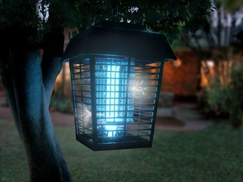 These insects and bugs do important for our climate but let’s be honest they annoy the crap out of us. They not only disrupt our peace but also cause rashes and pimples all over the body. If your home is also swarmed by these insects, it is time to take things in your hand and buy the best electric bug zapper. Mosquito Traps, Kill Bugs, Mosquito Zapper, Bug Killer, Kill Mosquitos, Halloween Ghost Decorations, Fly Swatter, Mosquito Control, Bug Zapper