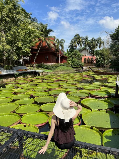 Big water lilies Ma Doo Bua Cafe, Phuket Cafe, Phuket Photoshoot, Thailand Photoshoot, Thailand Aesthetic, Thailand Pictures, Thai Islands, Phuket Thailand, Cultural Experience