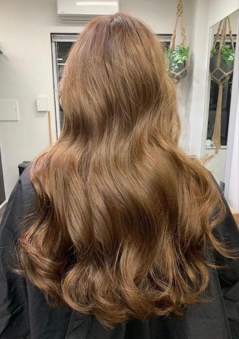 Light Brown Hair Shades, Caramel Hair Color Ideas, Honey Brown Hair Color, Caramel Hair Color, Light Brown Hair Color, Golden Brown Hair Color, Rambut Brunette, Golden Brown Hair, Brown Hair Shades