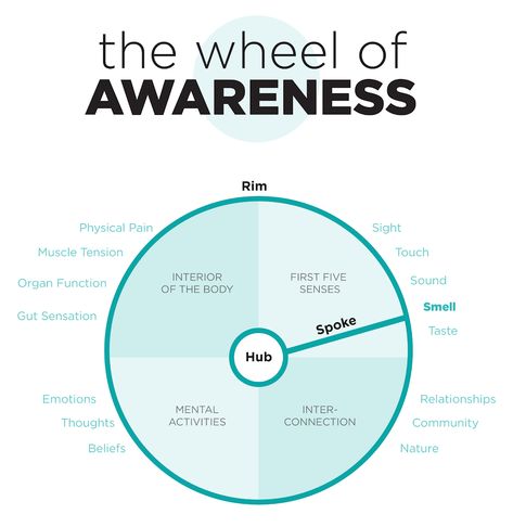 The Wheel of Awareness Wheel Of Awareness, Daniel Siegel, Neuro Science, Dan Siegel, Whole Brain Child, Emotional Maturity, Body Awareness, Physical Pain, Wheel Of Life