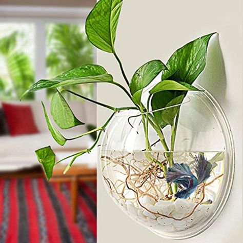 A wall-mounted hanging pot that will most definitely leave your guests speechless. Wall Fish Tank, Betta Fish Bowl, Pot Gantung, Wall Aquarium, Acrylic Aquarium, Indoor Water Garden, نباتات منزلية, Bubble Wall, Smart Tiles