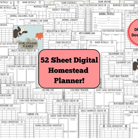 Homestead Homestead Planner, Gardening Planner, Homestead Farm, Farm Business, Farm Projects, Marketing Planner, Garden Planner, Content Planner, Cute Chickens