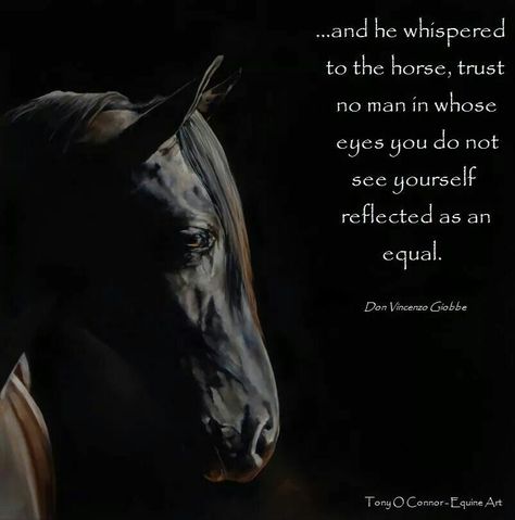 Activism Quotes, Inspirational Horse Quotes, Fabulous Quotes, Horse Therapy, Horse Artwork, Country Quotes, Horse Quotes, See Yourself, Work With Animals