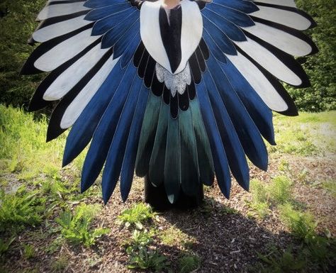 Bird Costume Design, Blue Jay Costume, Magpie Costume, Bird Wings Cosplay, Eurasian Magpie, Bird Costume, Magpie, Blue Jay, Cool Suits