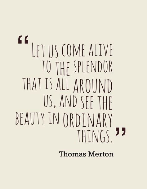 {Thomas Merton} Beauty In Ordinary Things, Thomas Merton Quotes, Gerard Manley Hopkins, Schrift Design, Thomas Merton, Social Activist, Garden Quotes, Simple Things, Wonderful Words