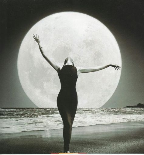 Moon Lady, Mother Moon, Rosé Halloween, Moon Lover, Eclipse Solar, Moon Dance, She Wolf, Spiritual Artwork, Summer Wines