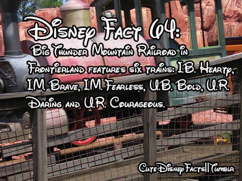 Disneyland Facts, Disney World Facts, Disney Hacks, Nice Messages, Disney Trivia, World Facts, Disneyland Secrets, Disney World Secrets, Thunder Mountain