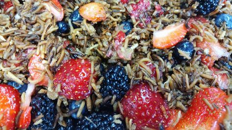 Native Recipes, Rice Berry, Wild Rice Recipes, Wild Rice Casserole, French Apple Cake, Blueberry Salad, Healthy Packed Lunches, Rice Desserts, Native American Food