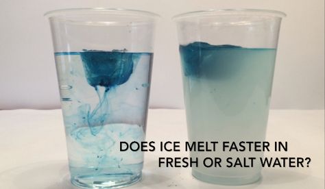 Salt Water Vs Fresh Water Experiment, Fresh Water Vs Salt Water Activities, Salt Water Fresh Water Experiment, Density Experiment, Plant Experiments, Water Unit, Water Science Experiments, Water Experiments, Sink Or Float