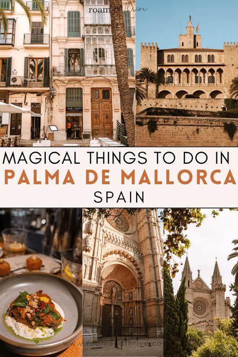 Things To Do In Mallorca Spain, Palma Mallorca Aesthetic, Palma Aesthetic, Mallorca Spain Aesthetic, Europe November, Palma Majorca Spain, Palma Cathedral, Palma Majorca, Mallorca Aesthetic