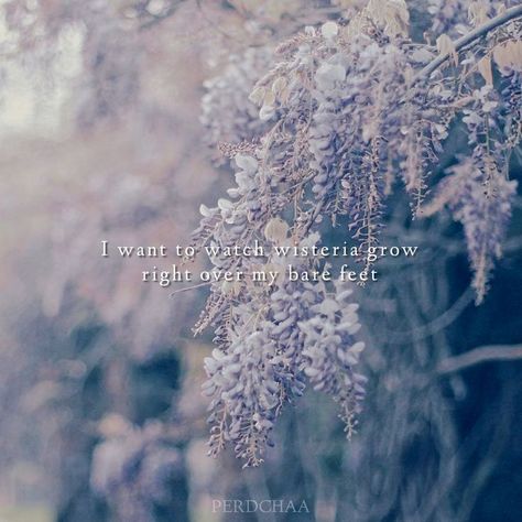 Wisteria Taylor Swift, Lakes Taylor Swift Lyrics, Taylor Swift Lockscreen Lyrics, Lakes Taylor Swift, The Lakes Taylor Swift, Taylor Swift Wallpaper Lyrics, Lockscreen Lyrics, Taylor Swift Lyrics Aesthetic, Quotes Taylor Swift